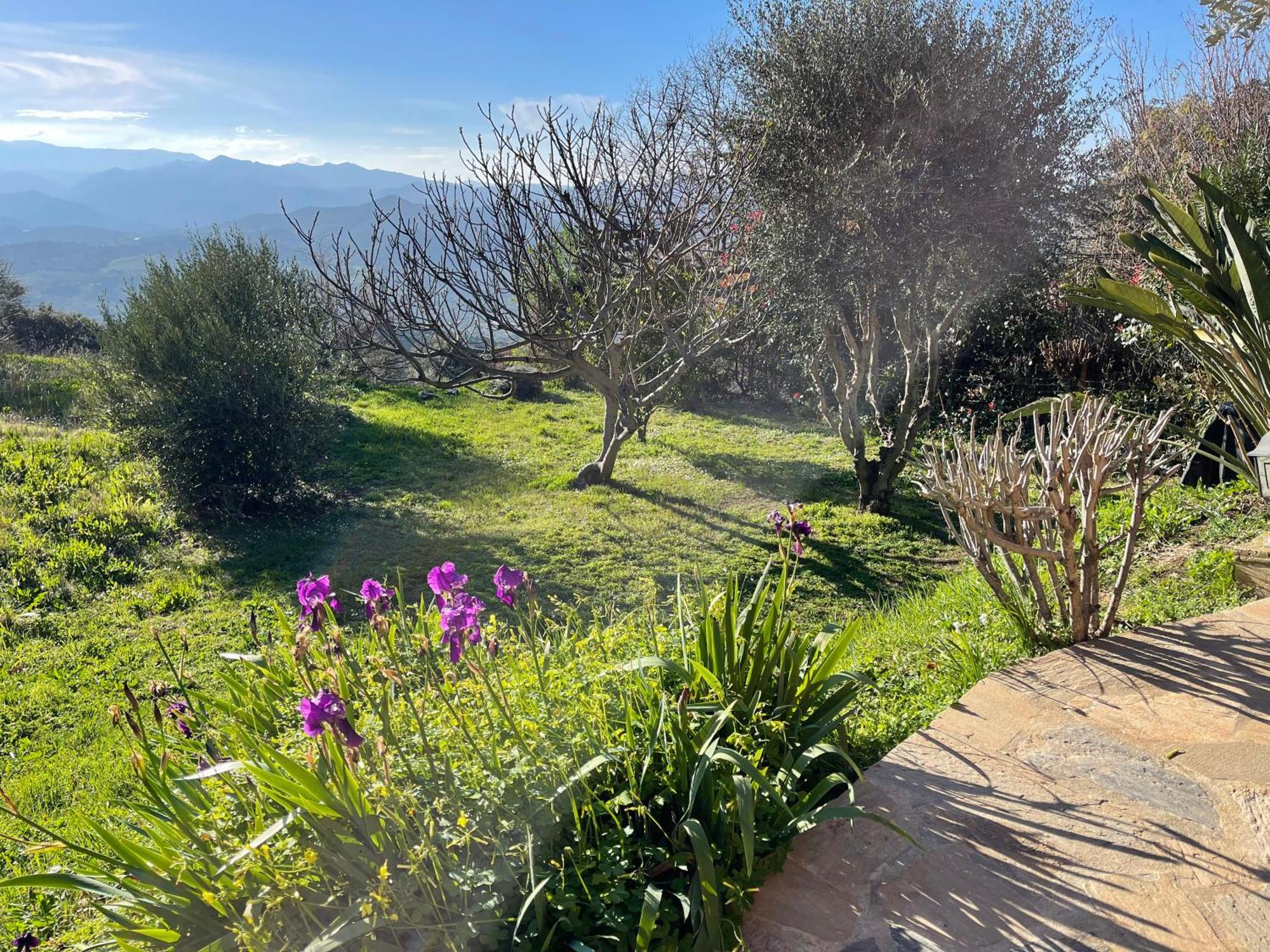 Carpediem_Corsica Poggio-d'Oletta Eksteriør bilde