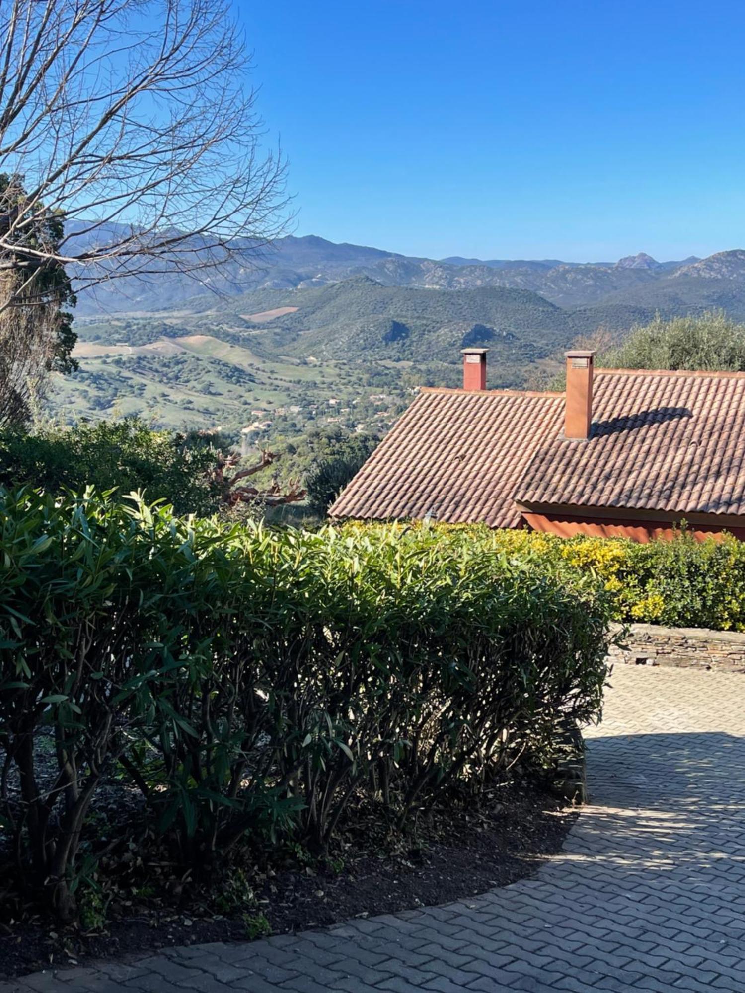 Carpediem_Corsica Poggio-d'Oletta Eksteriør bilde