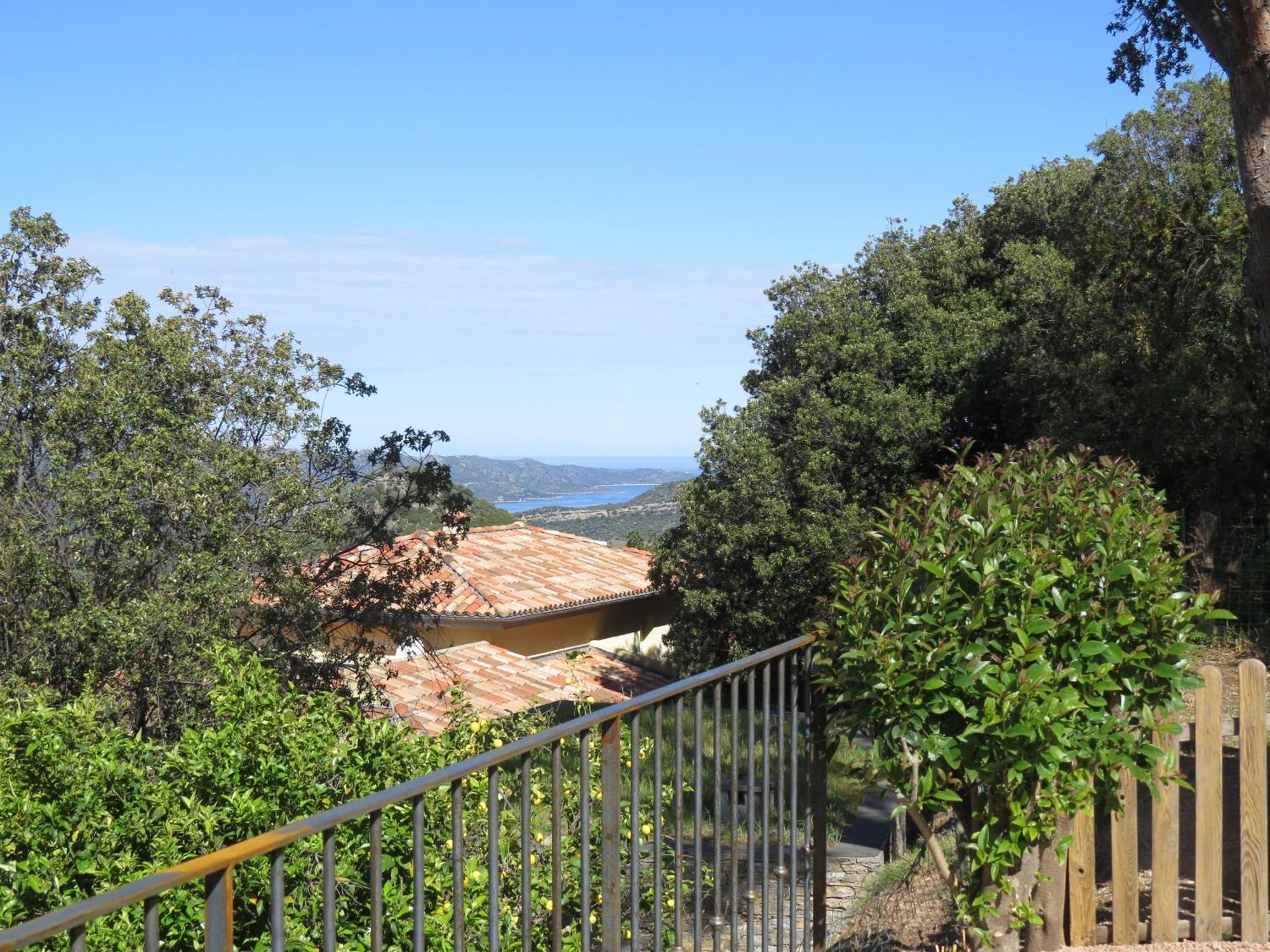 Carpediem_Corsica Poggio-d'Oletta Eksteriør bilde