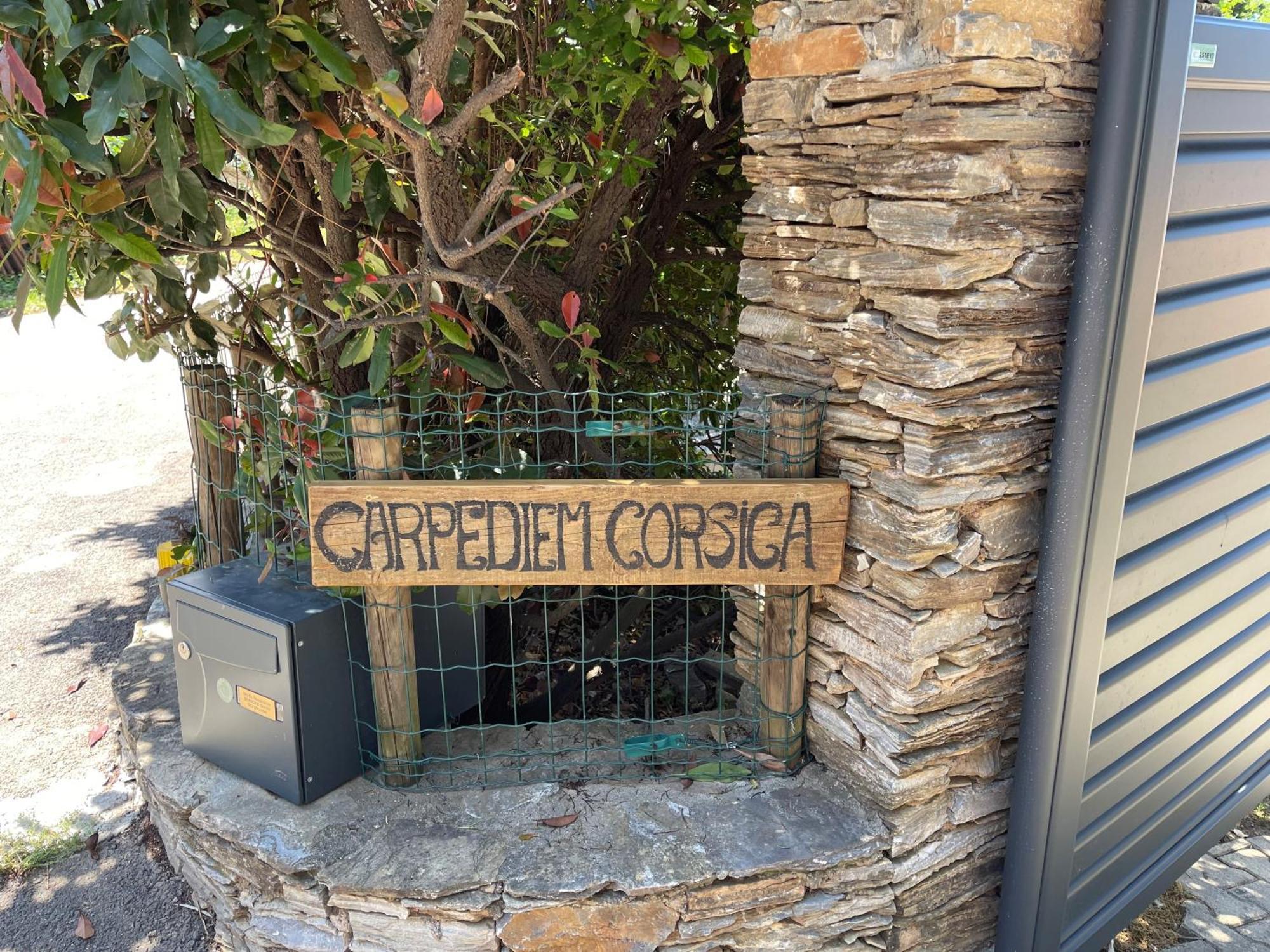 Carpediem_Corsica Poggio-d'Oletta Eksteriør bilde