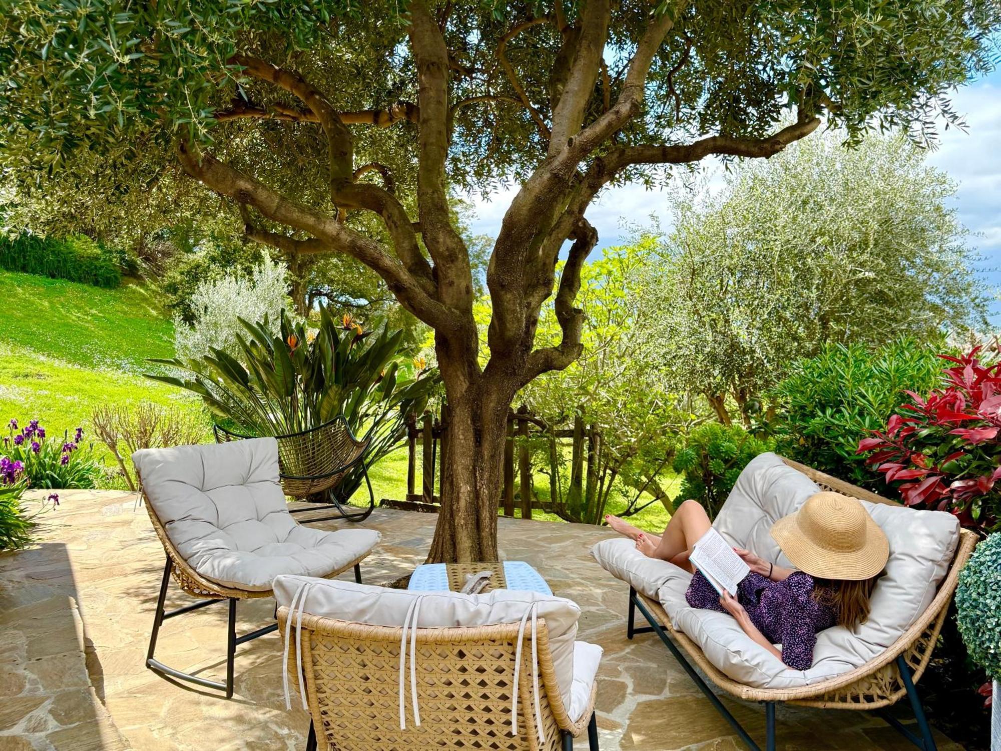 Carpediem_Corsica Poggio-d'Oletta Eksteriør bilde